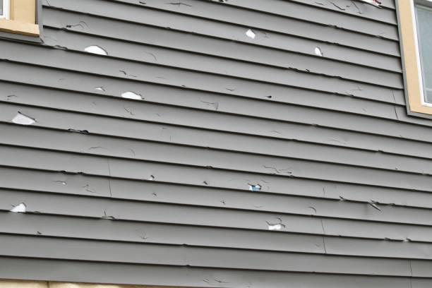 Best Recycling Services for Junk  in Oceanside, NY